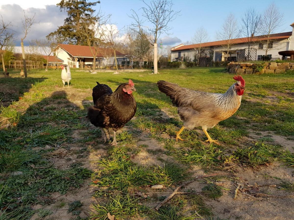Chateau Des Perichons Poncins Esterno foto