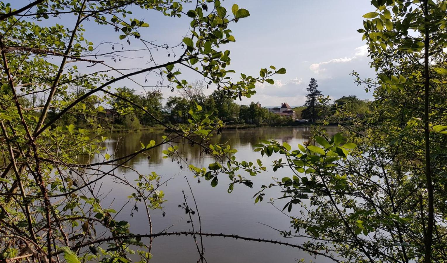 Chateau Des Perichons Poncins Esterno foto